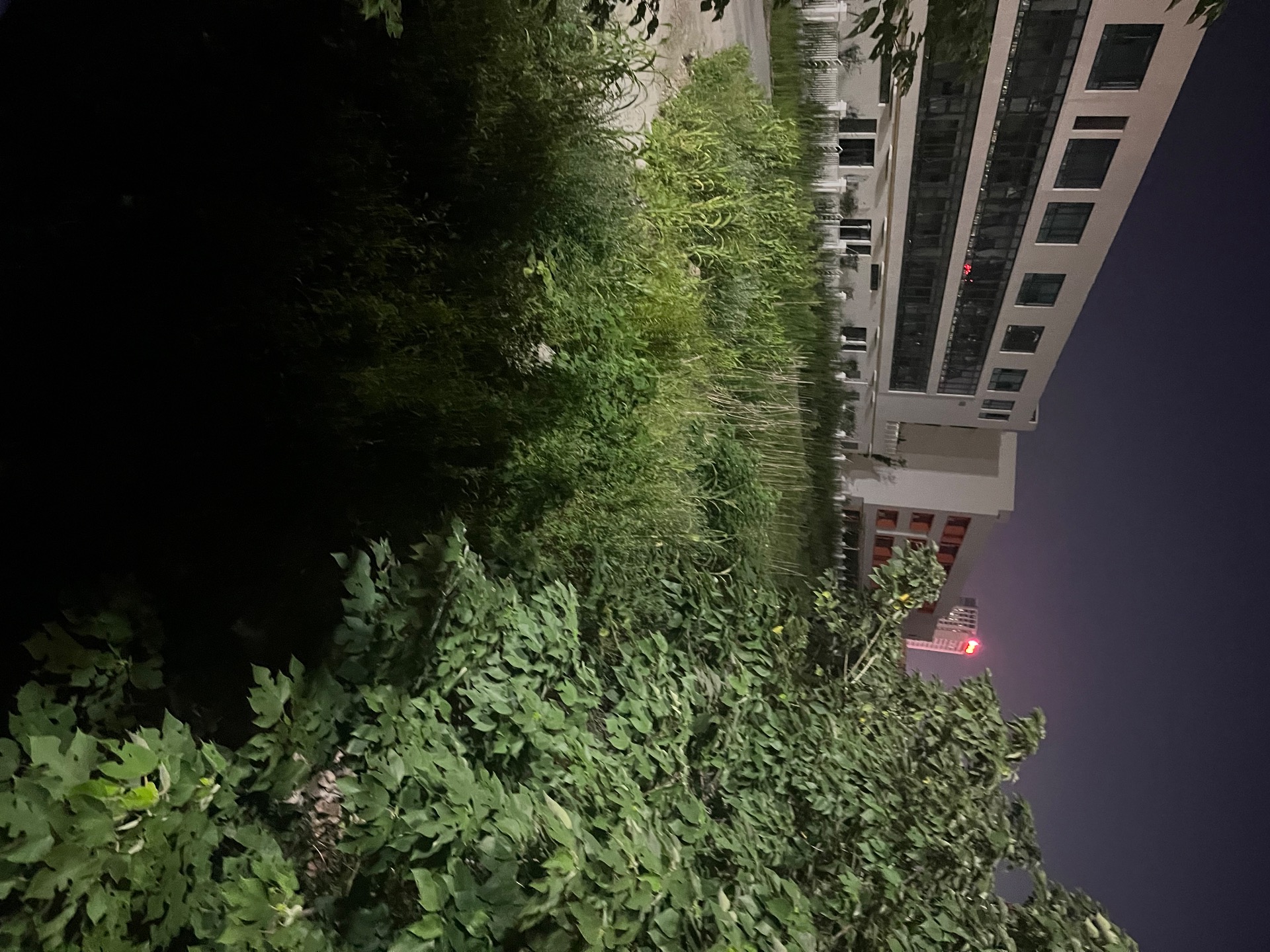 5CCA289B-071D-4495-8B22-5E70566BEEE5.jpeg
