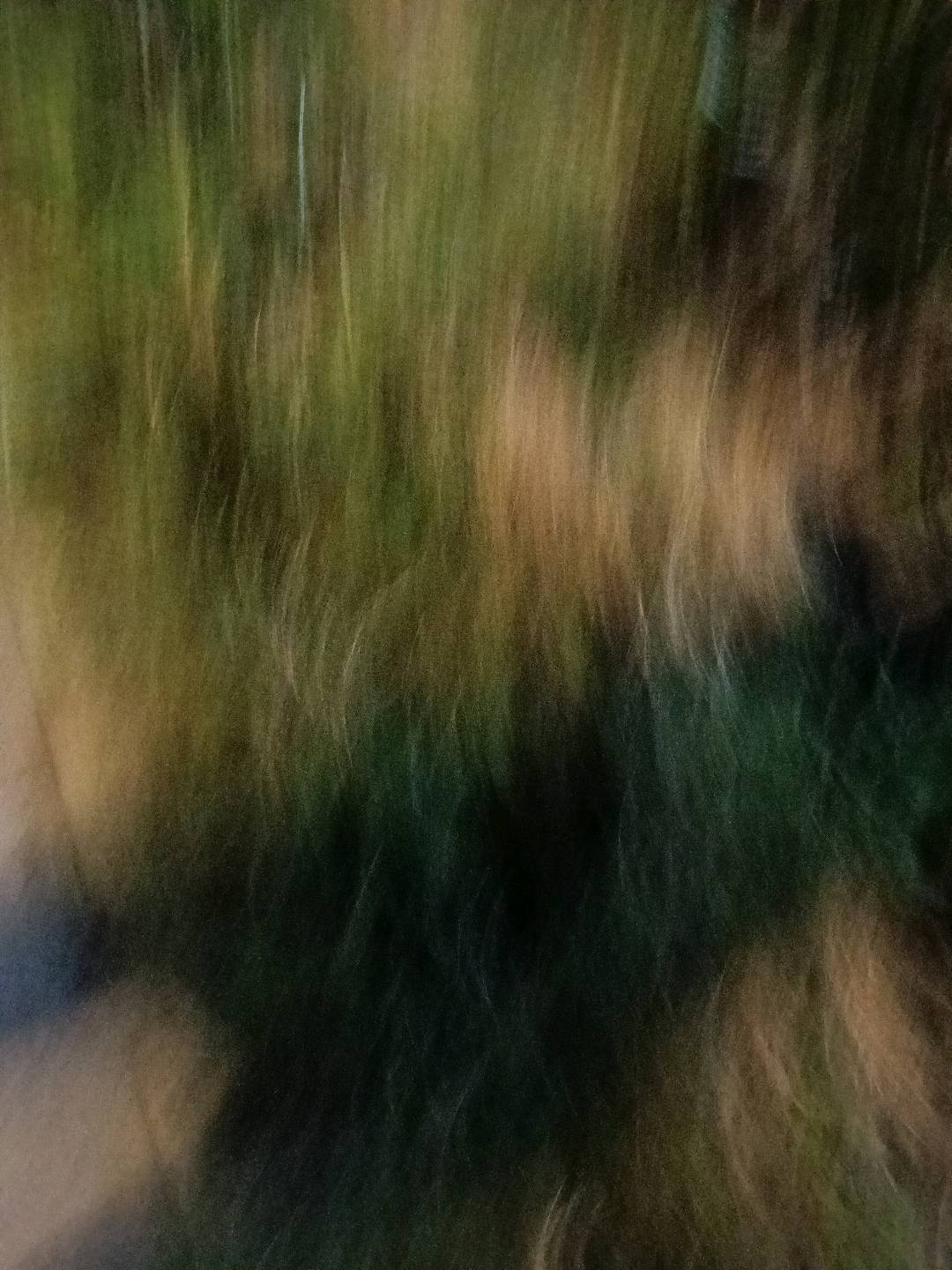 1753366374900_IMG20250724220712.jpg