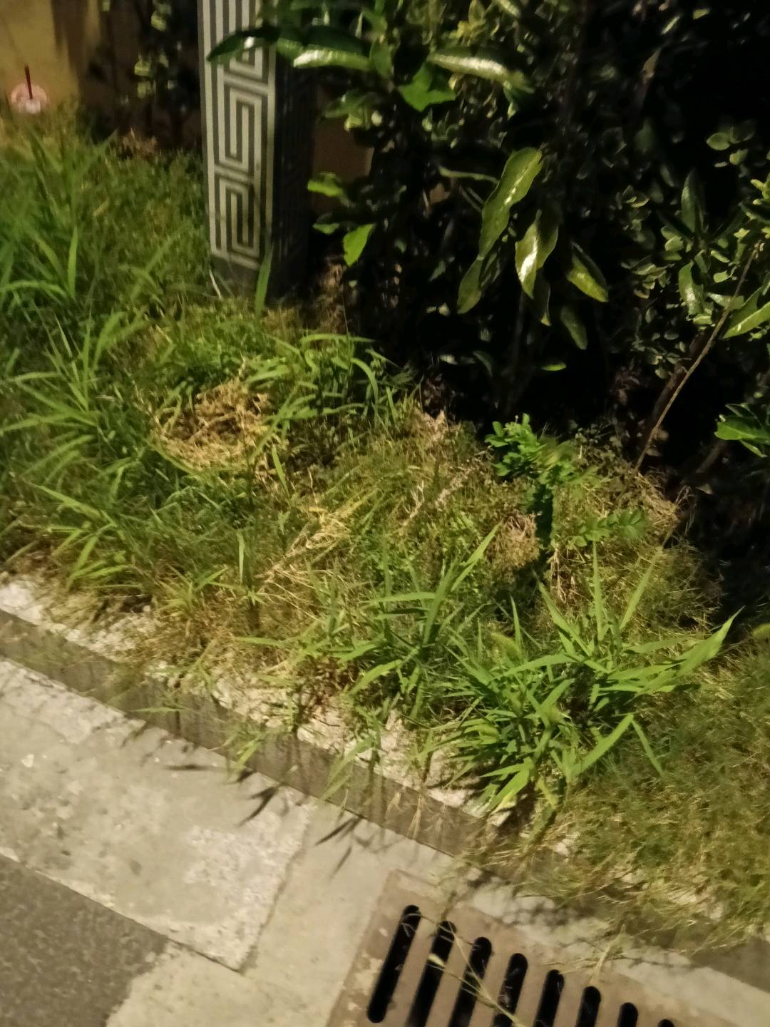 1753366375215_IMG20250724220644.jpg