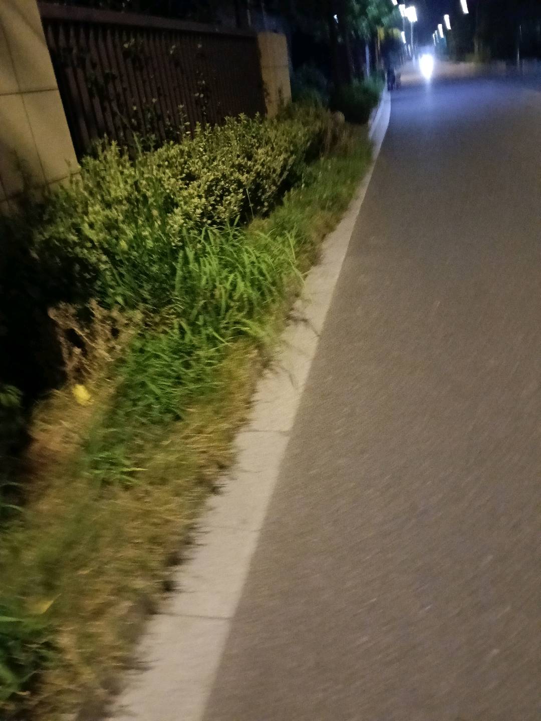 1753366375493_IMG20250724220640.jpg
