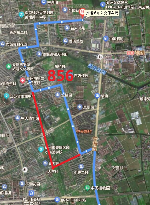 856.jpg
