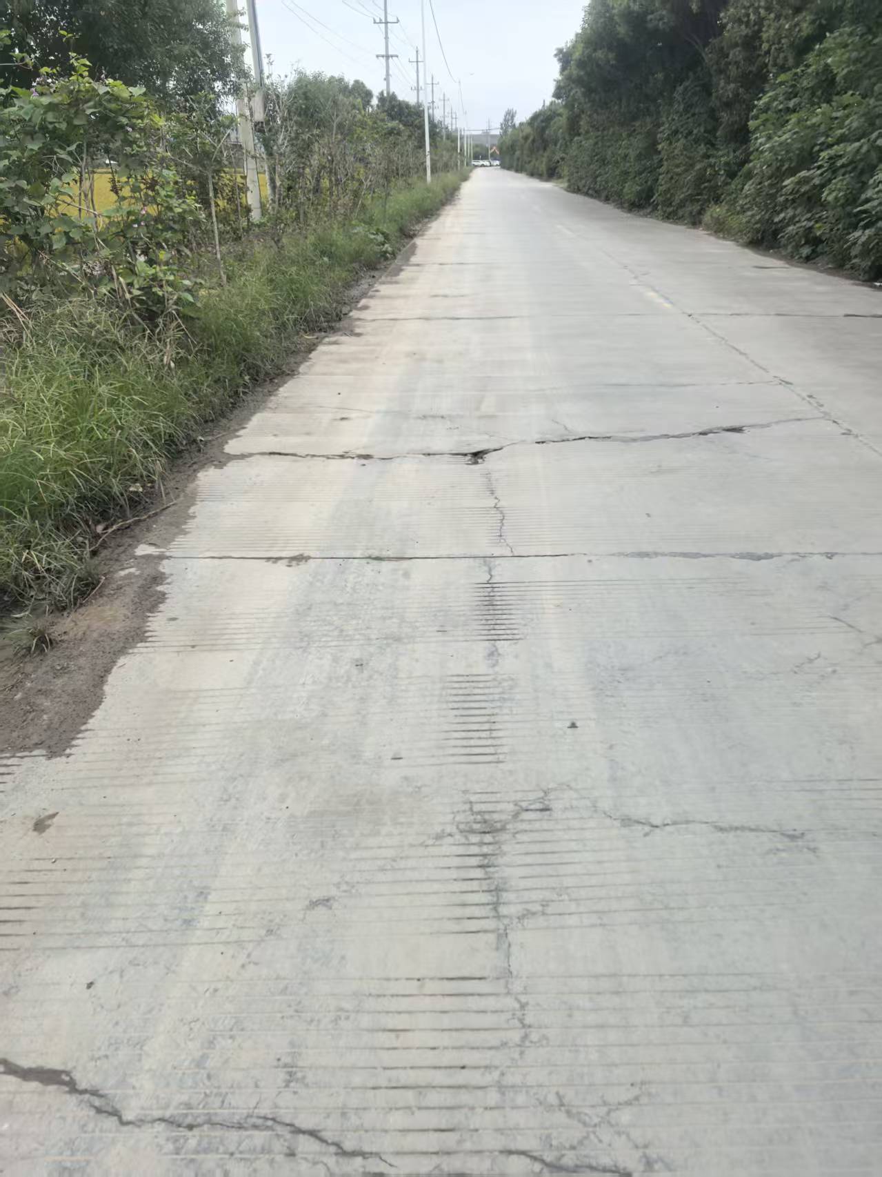 实际情况比照片看上去更糟糕