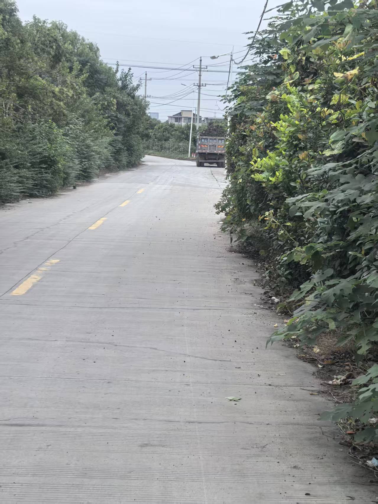 还有比这更大的运土车