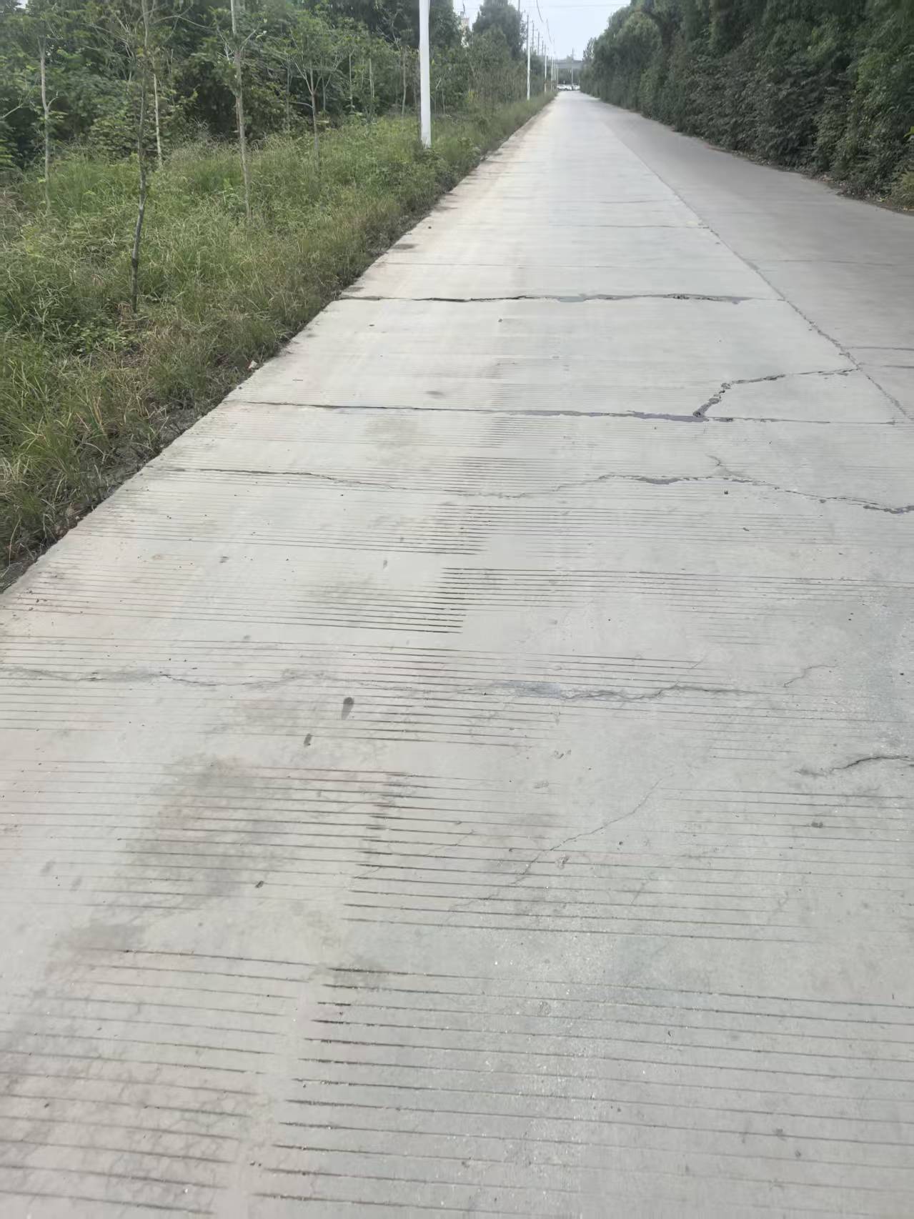 实际情况比照片看上去更糟糕