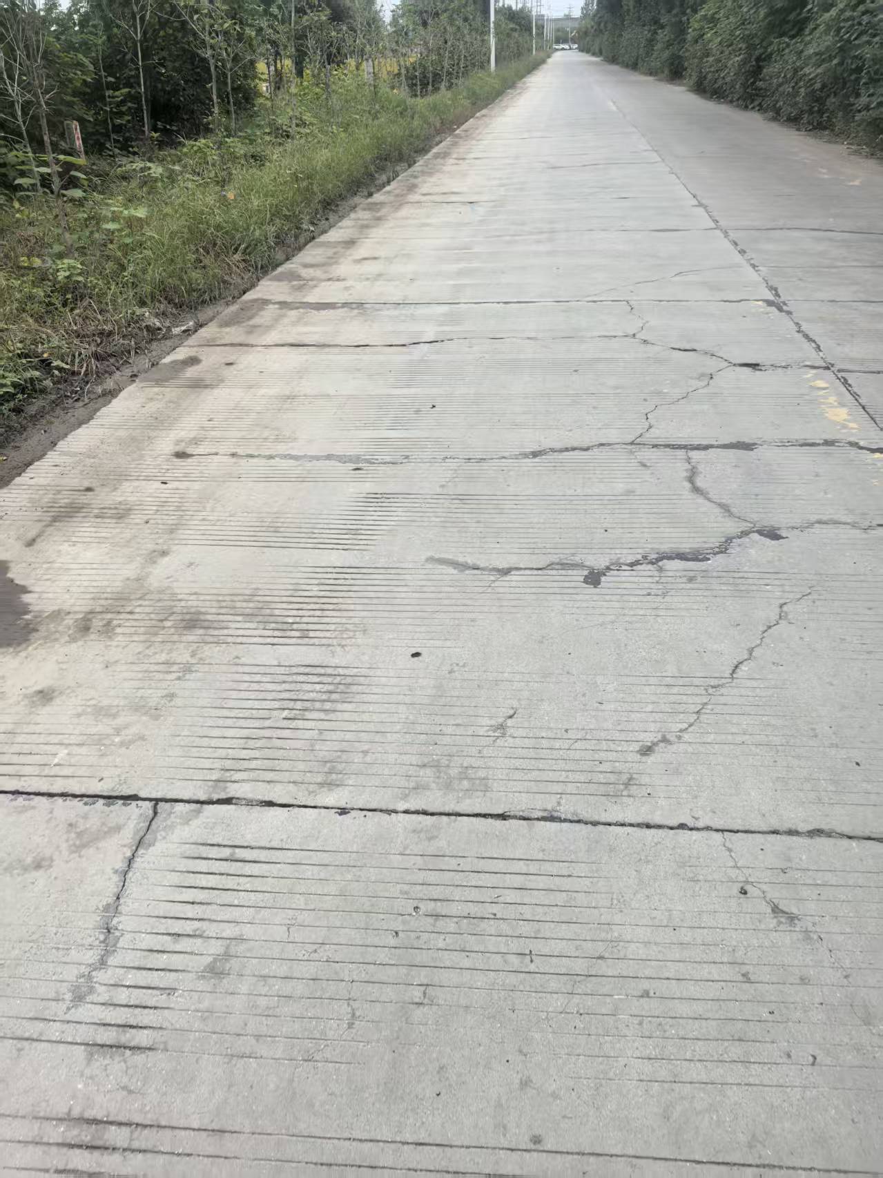 实际情况比照片看上去更糟糕
