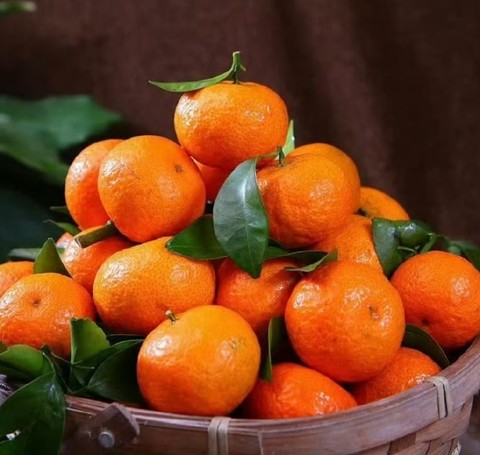 “  立冬福吉 … ”