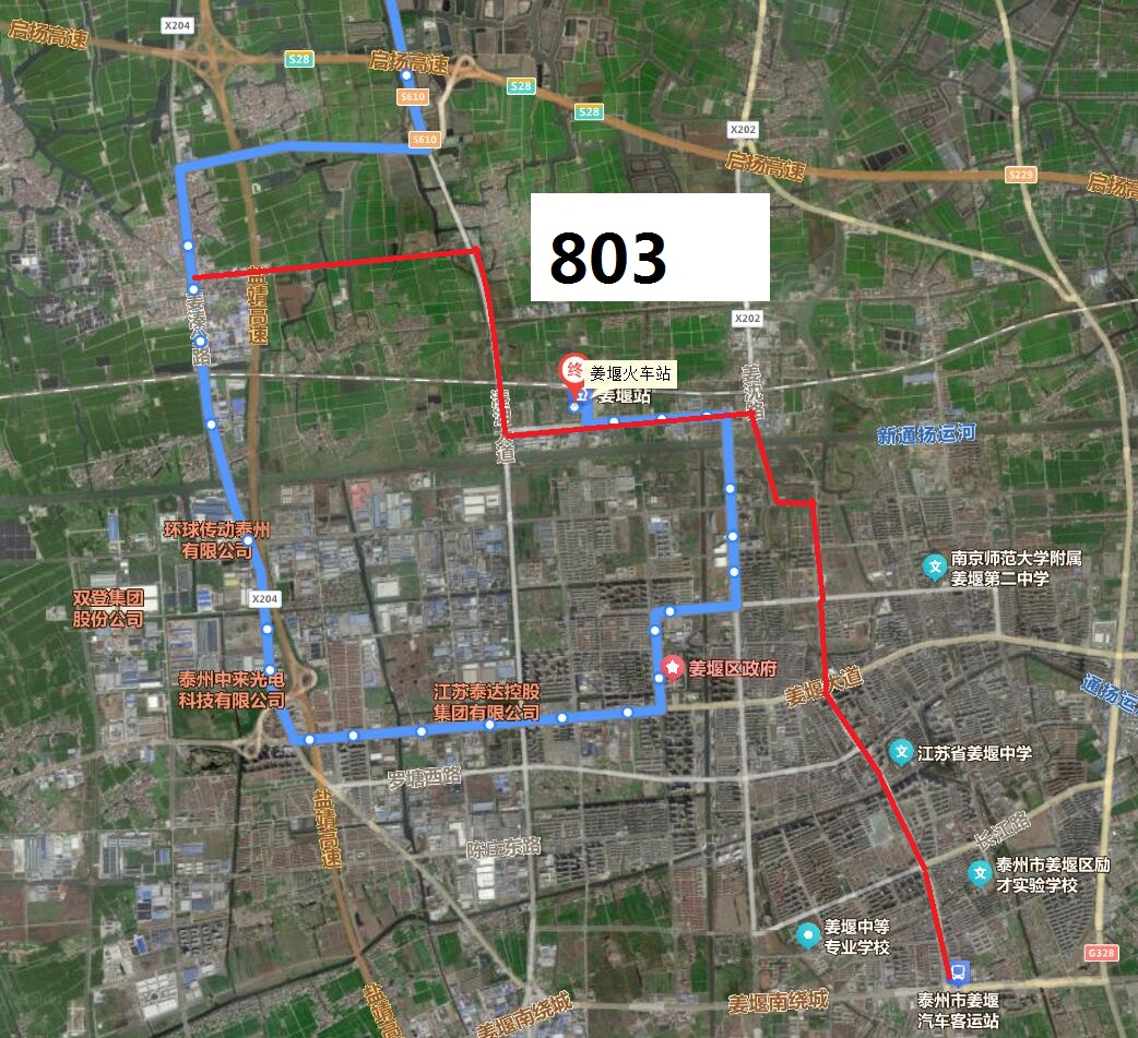 803.jpg