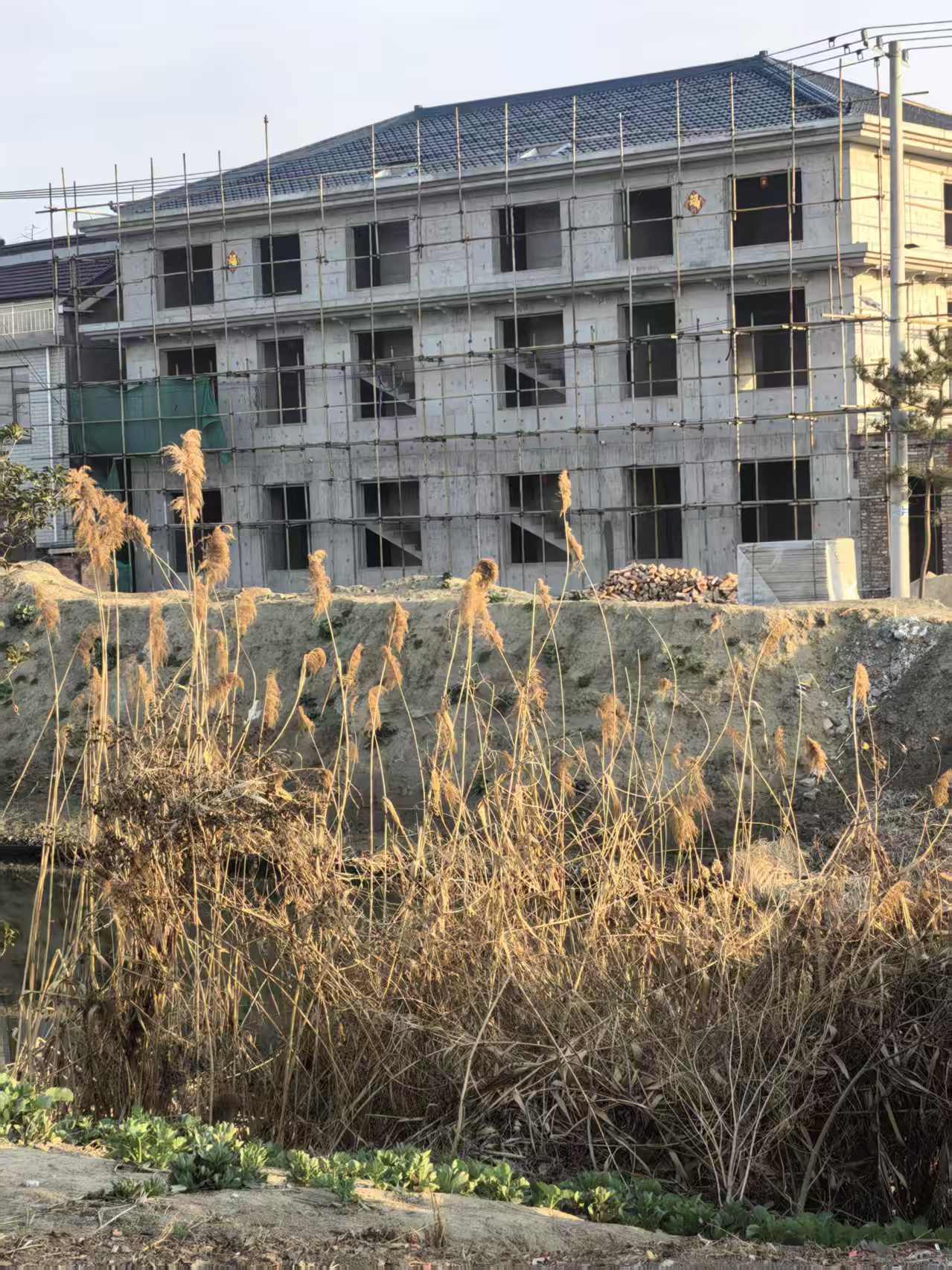 微信图片_20260321194203_3_2.jpg