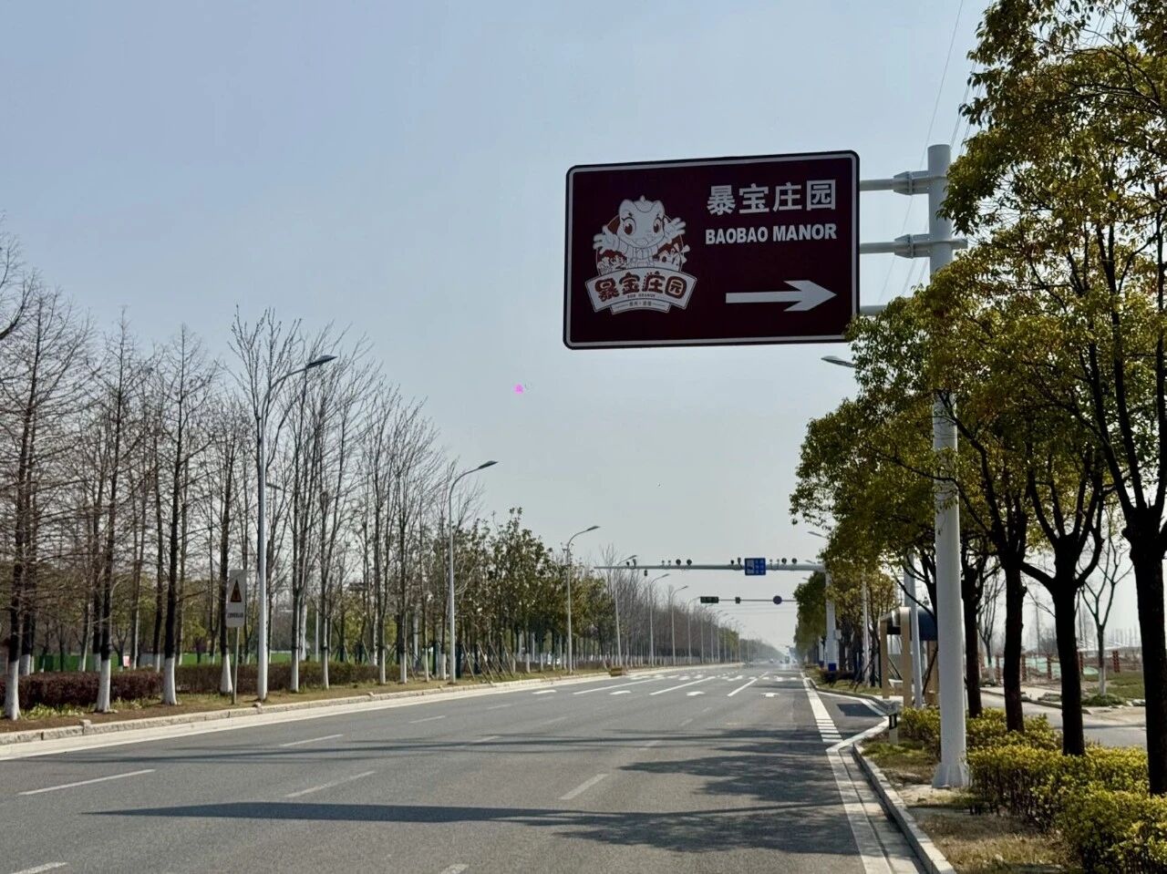 mmexport1774554239475.jpg