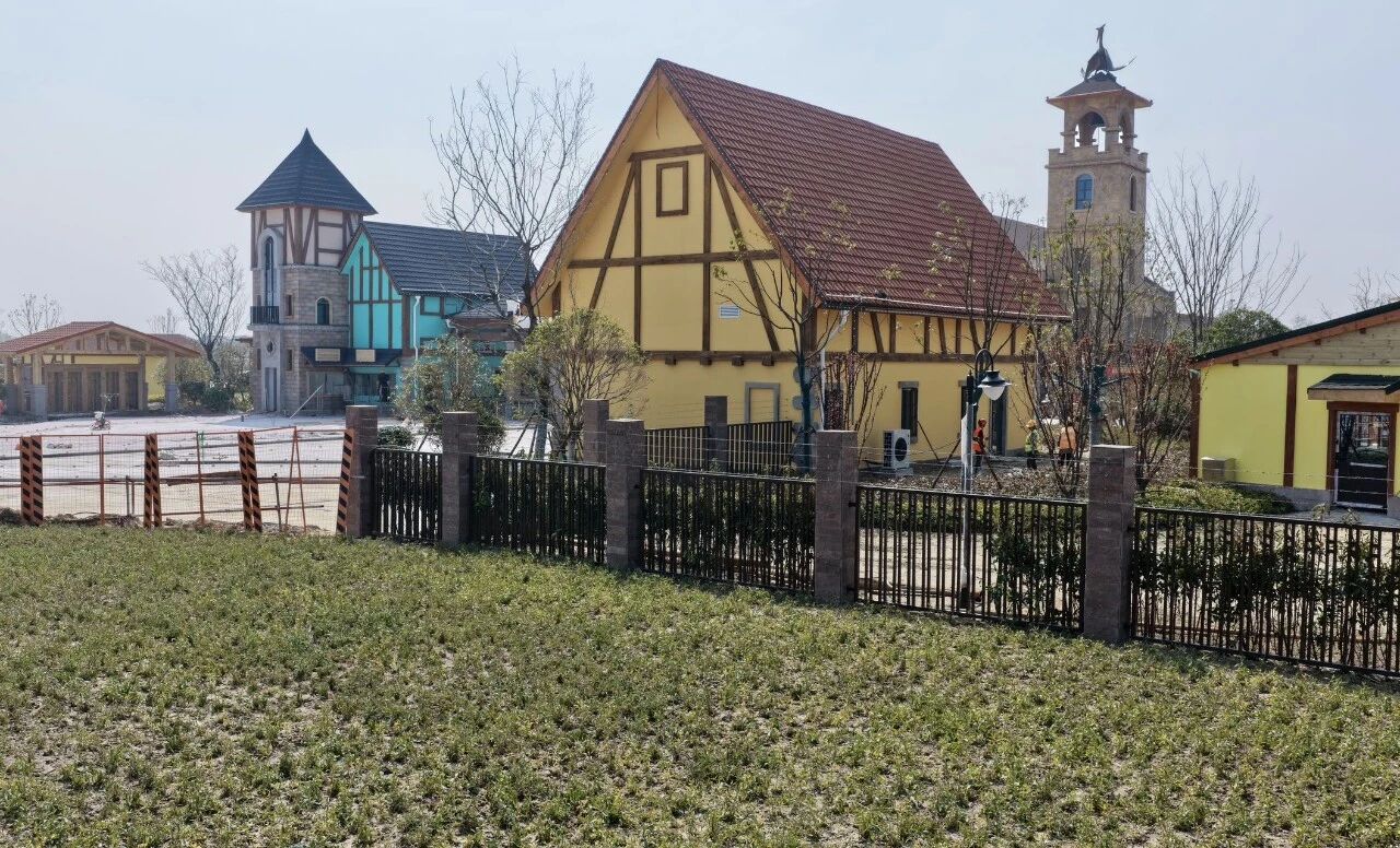 mmexport1774554270063.jpg