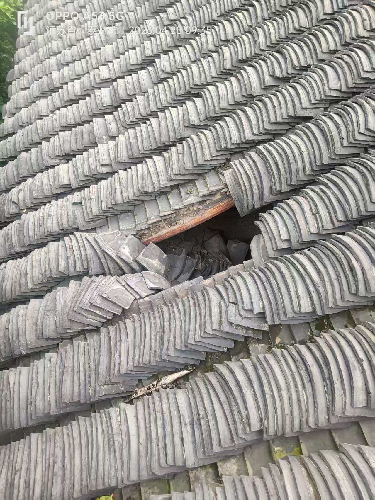 微信图片_20260428095624_234_6.jpg