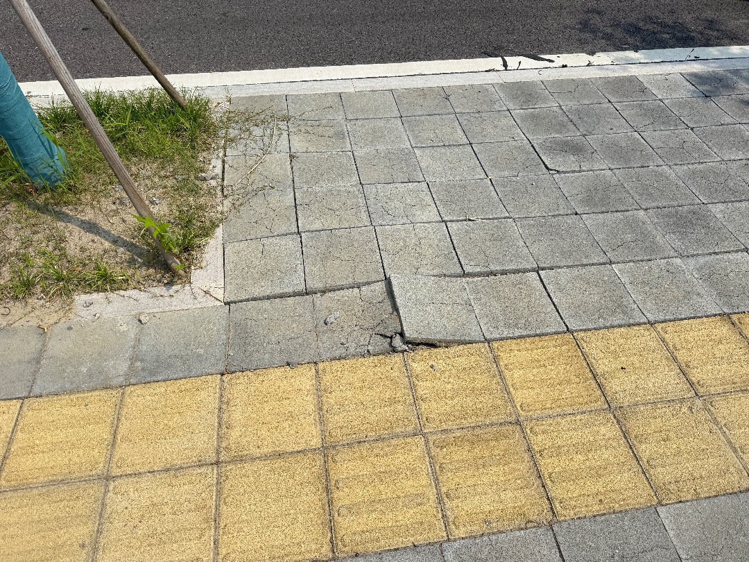 IMG_3087.jpeg