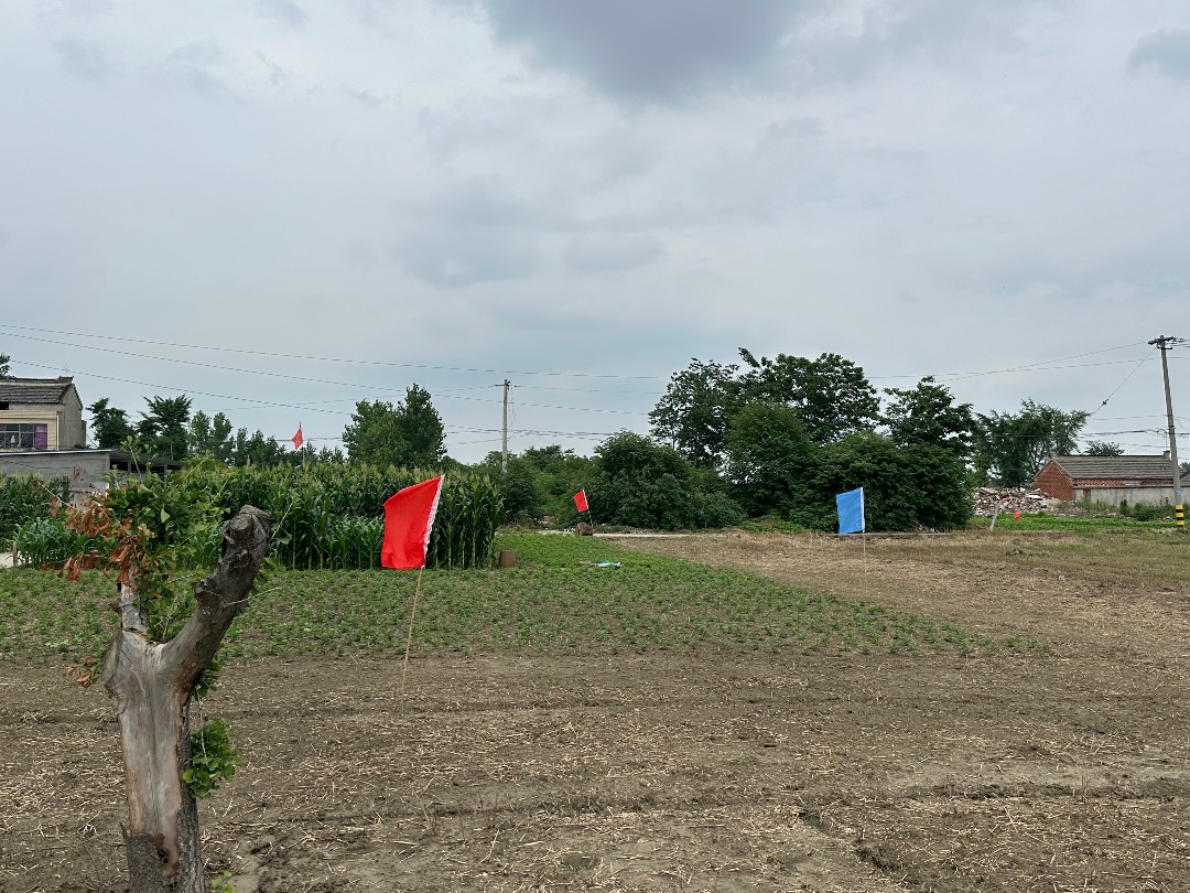 IMG_1274.jpeg