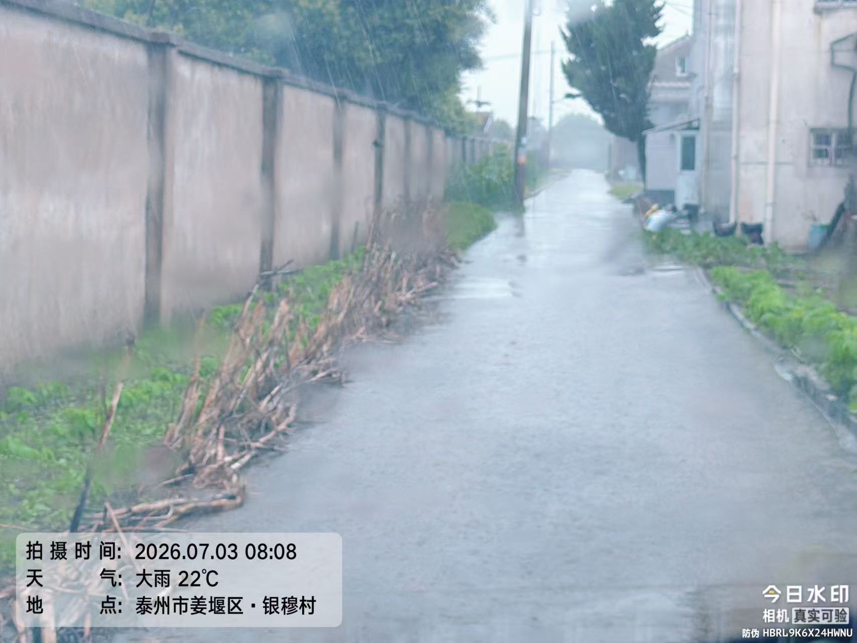 微信图片_20260703113530_56_115.jpg