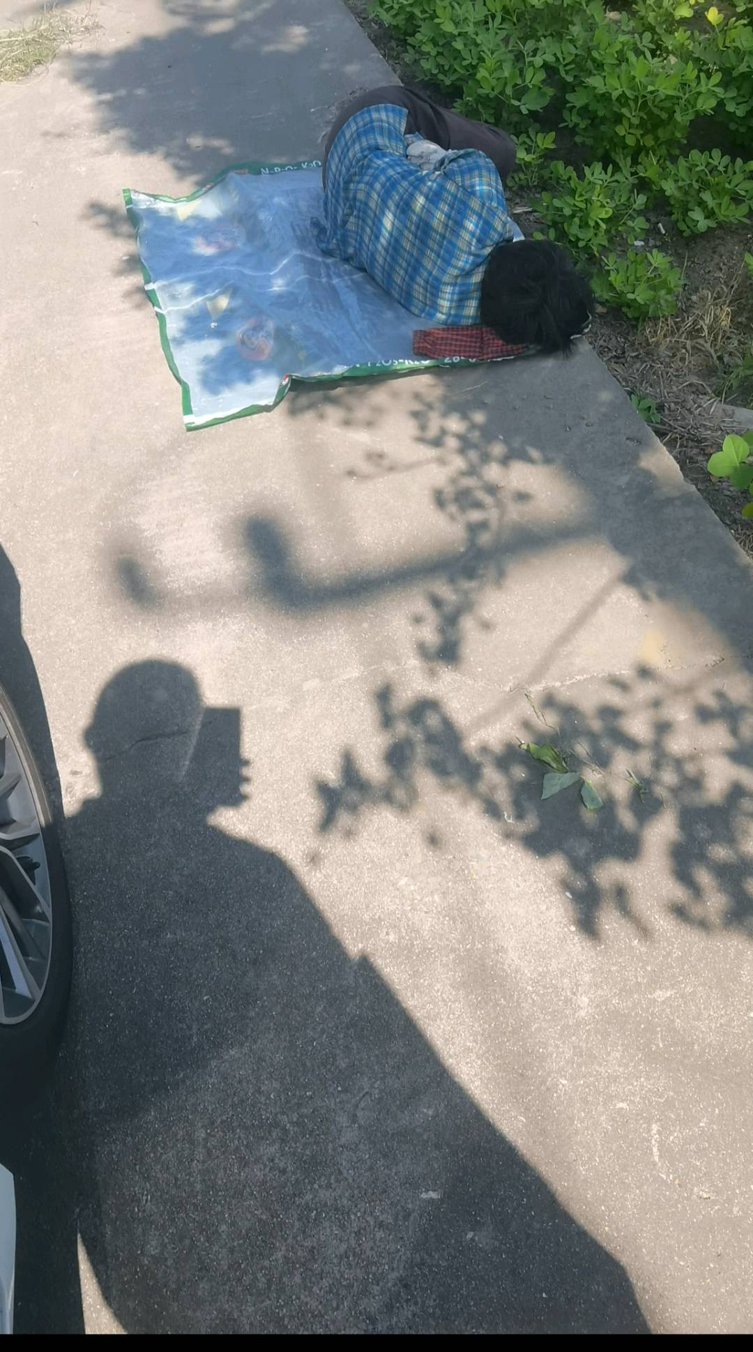 1785403258416_Screenshot_20260730_172043.jpg
