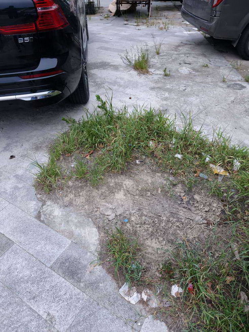 picAA_009_.jpg