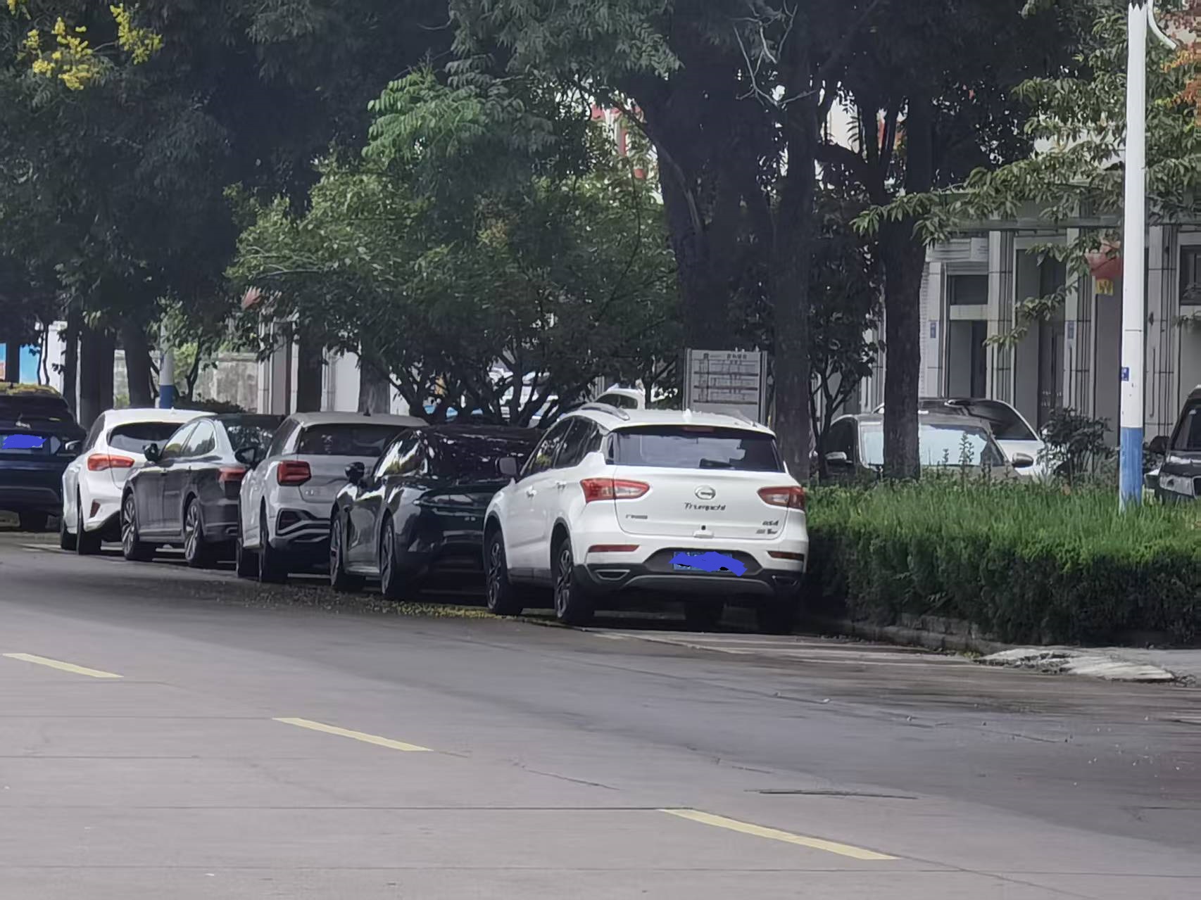 嘉和丽苑北边等车处